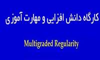 برگزاری وبینار با موضوع  "Multigraded Regularity"